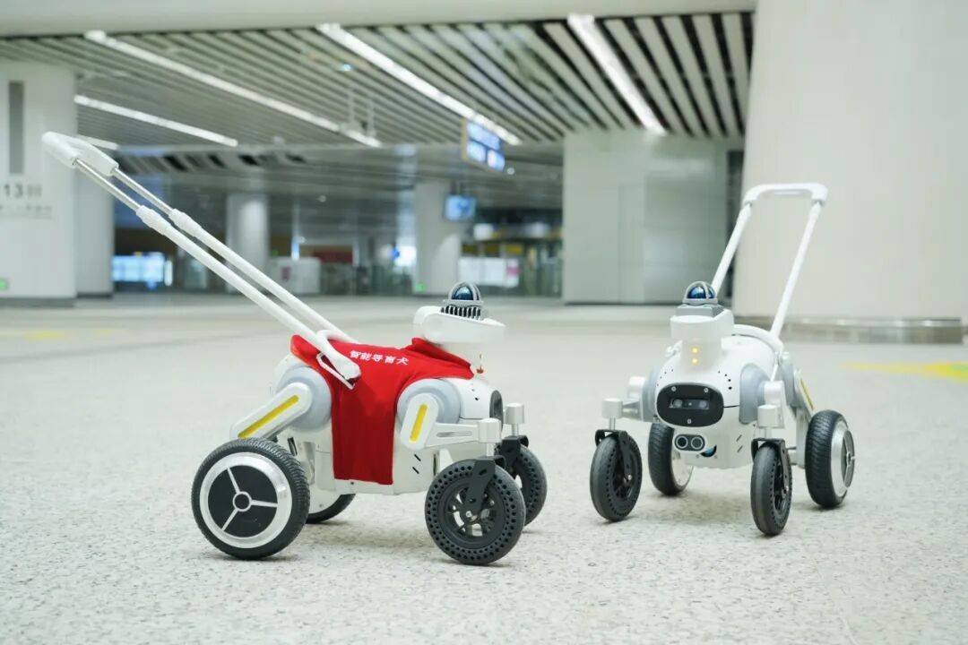 P智能导盲犬深圳上岗AG真人百家家乐AP(图4) P智能导盲犬深圳上岗AG真人百家家乐AP(图4)